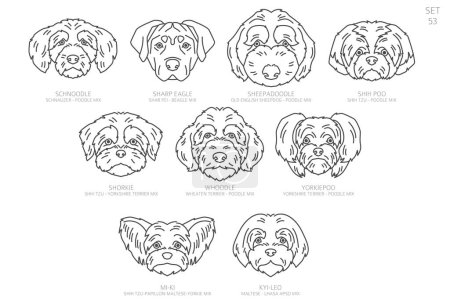 Diseñadores Cabeza de perro Siluetas en orden alfabético. Todas las razas de perros mezclados. Diseño de vector de línea simple. Ilustración vectorial