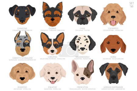 Diseñadores Cabeza de perro en orden alfabético. Todas las razas de perros mezclados. Diseño de vectores de color. Ilustración vectorial
