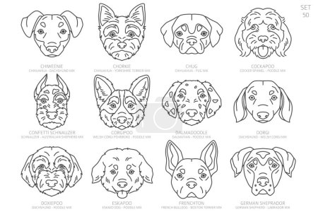 Designer Hundekopf Silhouetten in alphabetischer Reihenfolge. Alle Hunderassen sind Mischlingshunde. Einfaches Linienvektordesign. Vektorillustration