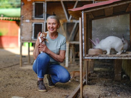 Téléchargez les photos : Une agricultrice adulte avec des lapins blancs dans sa ferme. L'agriculteur prend soin des animaux. - en image libre de droit