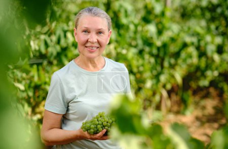 Foto de Mujer con racimo de uvas en plantación - Imagen libre de derechos