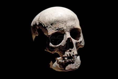 Téléchargez les photos : Crâne humain isolé sur fond noir - en image libre de droit