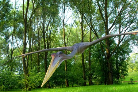 Foto de Dinosaurio Pterodáctilo, Pterodactiloide, Pterosaurio Quetzalcoatlus northropi en el parque jurásico, colección de dinosaurios - Imagen libre de derechos