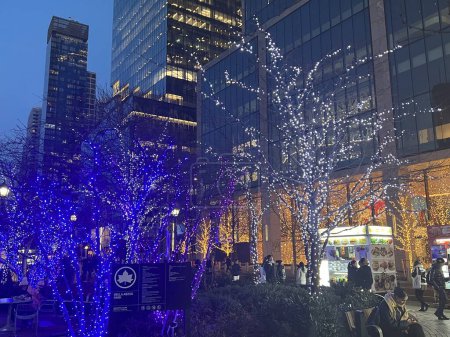Photo for NEW YORK, NY - DEC 21: Christmas decor at Bella Abzug Park at Hudson Yards in Manhattan, New York City, as seen on Dec 21, 2022. - Royalty Free Image