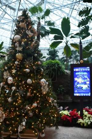 Téléchargez les photos : KISSIMMEE, FL - DEC 25: Christmas decor at Gaylord Palms Resort & Convention Center in Kissimmee, Florida, as seen on Dec 25, 2022. - en image libre de droit