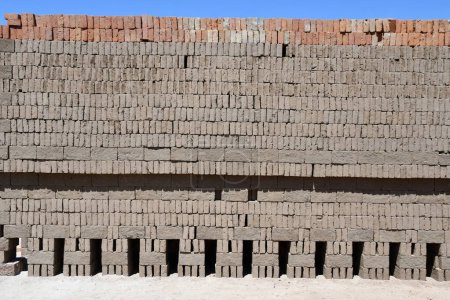 Téléchargez les photos : VILLA UNION, MEXIQUE - 12 avril : Usine de briques rustiques à Villa Union, près de Mazatlan, au Mexique, vue le 12 avril 2023. - en image libre de droit