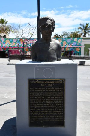 Photo for SAN JOSE DEL CABO, MEXICO - APR 13: Profra Maria Amelia Wilkes Cesena statue at Plaza Mijares in San Jose del Cabo, Mexico, as seen on April 13, 2023. - Royalty Free Image