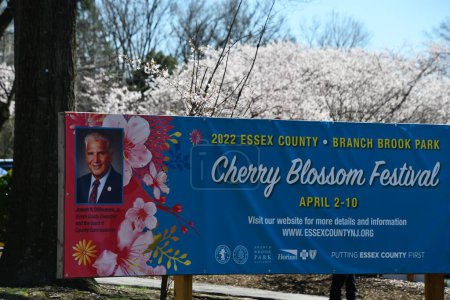 Photo for NEWARK NJ - APR 8: Cherry Blossom Festival at Branch Brook Park in Newark, New Jersey, as seen on April 8, 2022. - Royalty Free Image