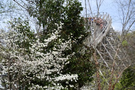 Téléchargez les photos : SEVIERVILLE TN - 13 avril : Parc à thème Dollywood à Sevierville, Tennessee, vu le 13 avril 2022. - en image libre de droit
