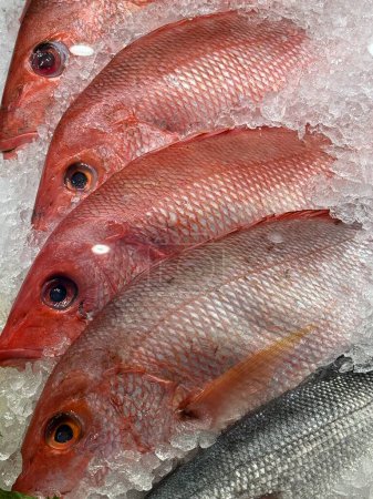 Fresh Fish on Ice in a Market