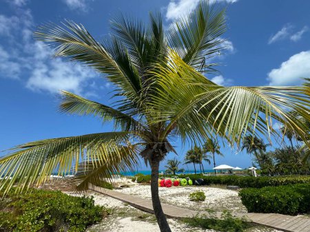 Grace Bay Beach à Providenciales, dans les îles Turques et Caïques