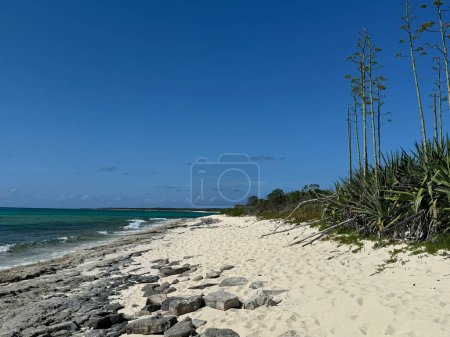Malcolm Beach at Providenciales in the Turks and Caicos Islands