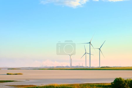Wind turbines at sunset. Landscape in the Kherson region.