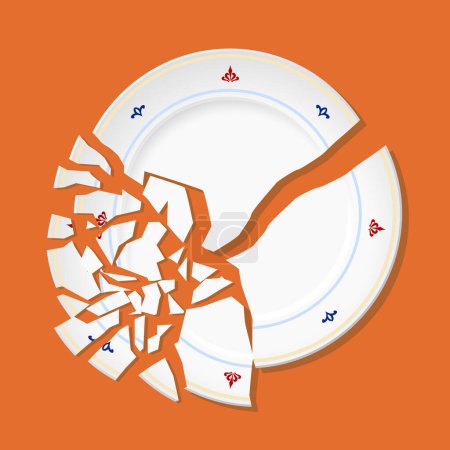 Vector illustration of white destroyed plate with small and big fragments and debris of broken plate