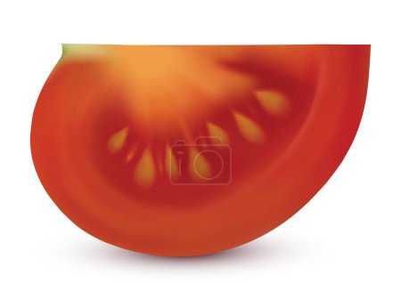 Reife saftige Tomatenscheibe isoliert auf weißem Hintergrund. Vektor-Illustration erstellt mit Gradientennetzen