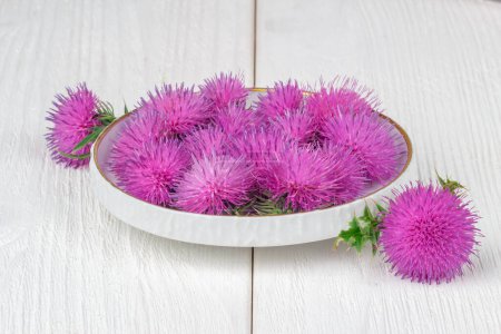 Photo for Silybum marianum (milk thistle) herb in a bowl.One of the most common uses of milk thistle is to treat liver problems.Alternative medicine concept on a white wooden table (selective focus). - Royalty Free Image