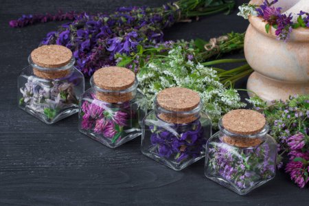 Photo for Set of healing herbs.Fresh thyme, sage, achillea, chicory and red clover herb in bottle. Alternative medicine concept on black wooden table(selective focus). - Royalty Free Image