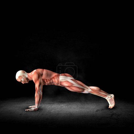 Téléchargez les photos : Rendu 3D d'une figure médicale masculine avec carte musculaire en push up pose à l'intérieur du grunge - en image libre de droit