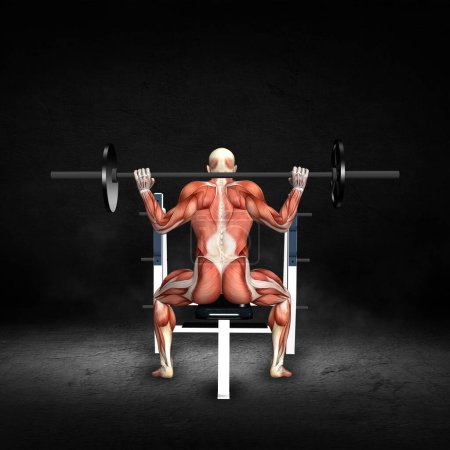 Téléchargez les photos : Rendu 3D d'une figure médicale masculine avec carte musculaire dans la presse d'haltère assis derrière la pose du cou à l'intérieur grunge - en image libre de droit