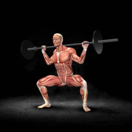 Téléchargez les photos : Rendu 3D d'une figure médicale masculine avec carte musculaire en haltérophilie pose à l'intérieur du grunge - en image libre de droit
