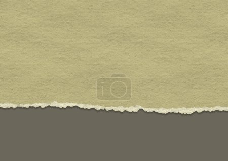 Illustration for Grunge background with old torn paper design - Royalty Free Image