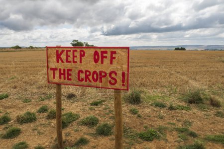 Photo for Keep off the crops sign in an english field in the countryside - Royalty Free Image