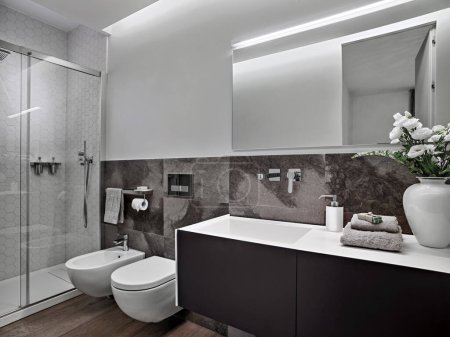 Foto de Vista interna de un cuarto de baño moderno, en primer plano el armario del lavabo con un lavabo incorporado en el fondo el bidet, un inodoro y la caja de ducha de vidrio - Imagen libre de derechos