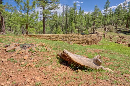 Photo for Foxboro Dam near Munds Park in northern Arizona. The dam was built by a rancher back in the 1920s to create an artificial lake for cattle. The ranch has since become part of the Coconino National Forest and is now public land. The dam has since been - Royalty Free Image
