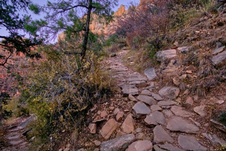 Lange Belichtung des felsigen Grandview Trail am Südrand des Grand Canyon. Dieses wurde nach Sonnenuntergang aufgenommen, wobei nur die Dämmerung als Lichtquelle diente. Die Belichtungszeit betrug 30 Sekunden. Es gibt eine gewisse Bewegungsunschärfe in der Vegetation aufgrund der starken Winde am