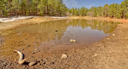 Téléchargez les photos : Un petit lac dans la Mingus Mountain Recreation Area près de Jérôme Arizona. Il y a encore de la neige hivernale autour du rivage du lac. - en image libre de droit