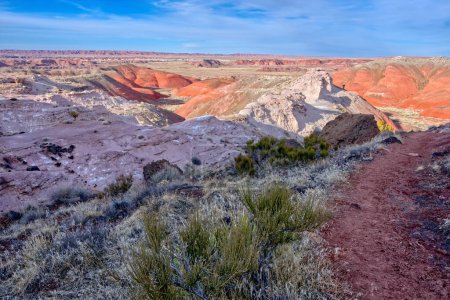 View of the Painted Desert of Arizona from beneath Kachina Point in the Petrified Forest National Park. puzzle 700417800