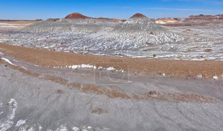 A group of salt covered hills along the Blue Forest Trail in Petrified Forest National Park. magic mug #700420612