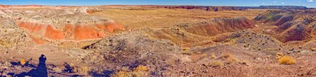 Panorama of the Lithodendron Wilderness viewed from a ridge near Onyx Bridge in Petrified Forest National Park Arizona. puzzle 700586510