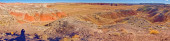 Panorama of the Lithodendron Wilderness viewed from a ridge near Onyx Bridge in Petrified Forest National Park Arizona. magic mug #700586510