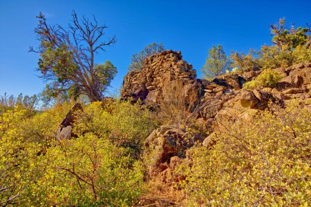 Téléchargez les photos : Les murs en ruine d'anciennes ruines indiennes le long du bord sud du canyon Rattlesnake, près du sentier historique Chavez. Situé dans la nature humide Beaver Creek Wilderness de Sedona Arizona. - en image libre de droit