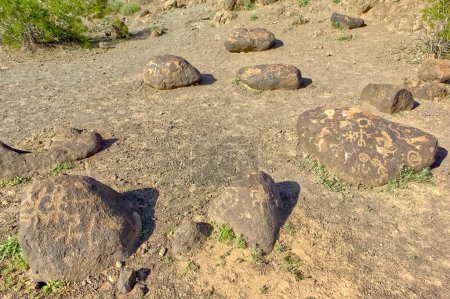 Photo for A closeup view of the petroglyph covered lava rocks of the Arizona landmark called Rocky Point. These petroglyphs are hundreds, if not thousands, of years old. On public land, no property release is needed. - Royalty Free Image