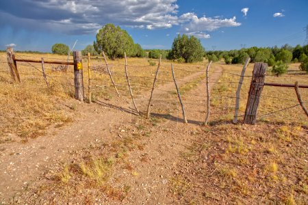 One of two cattle gates along Fire Road 182 in the Prescott National Forest in Arizona near the town of Drake. The forest is public land but these gates are necessary to keep grazing cattle from escaping the forest.