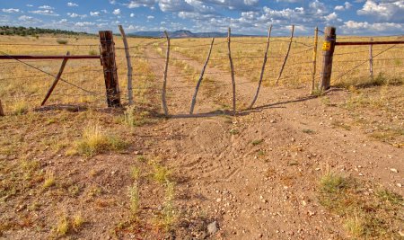 One of two cattle gates along Fire Road 182 in the Prescott National Forest in Arizona near the town of Drake. The forest is public land but these gates are necessary to keep grazing cattle from escaping the forest.