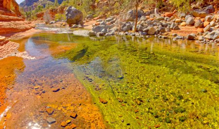 Photo for The emerald waters of Oak Creek on the north side of Slide Rock State Park north of Sedona Arizona. - Royalty Free Image