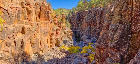 Vue du canyon Sycamore depuis les chutes Sycamore près de Williams Arizona. Les chutes d'eau sont actuellement sèches et inactives.