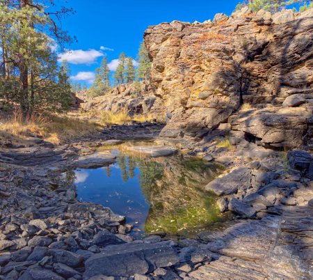 Einer von mehreren natürlichen Teichen in der Nähe der Sycamore Falls, die als Pomeroy Tanks bekannt sind. Das Hotel liegt im Kaibab National Forest in der Nähe von Williams Arizona.