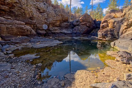 Einer von mehreren natürlichen Teichen in der Nähe der Sycamore Falls, die als Pomeroy Tanks bekannt sind. Das Hotel liegt im Kaibab National Forest in der Nähe von Williams Arizona.
