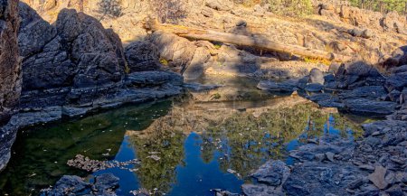 L'un des nombreux étangs naturels près des chutes Sycamore connus sous le nom de réservoirs Pomeroy. Situé dans la forêt nationale de Kaibab près de Williams Arizona.