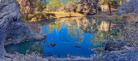 One of several natural ponds near Sycamore Falls known as the Pomeroy Tanks. Located in the Kaibab National Forest near Williams Arizona.