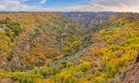 Canyon Sycamore vue du côté ouest de la pointe Sycamore. Situé dans la forêt nationale de Kaibab au sud de Williams Arizona.