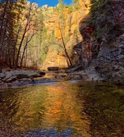 A section of the West Fork Creek north of Sedona AZ reflecting the golden light of the late day sun.