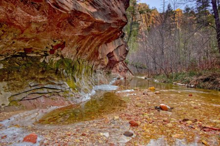 A cliff overhang along the West Fork Trail in Call of the Canyon north of Sedona AZ.