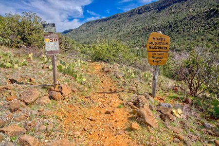 Signs marking the boundary in Woods Canyon AZ where the trail crosses into Munds Mountain Wilderness.