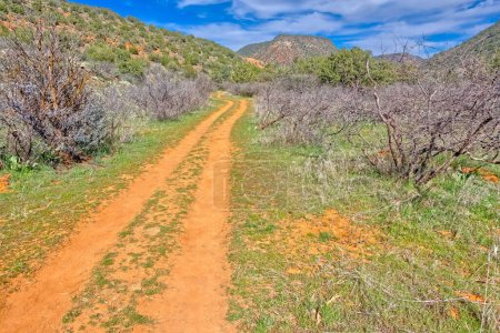 An old ATV Trail running through Woods Canyon south of Sedona AZ.