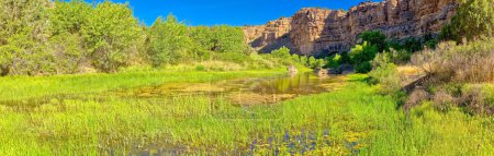 Ein sumpfiges Feuchtgebiet flussabwärts vom Stillman Lake im Upper Verde River Wildlife Area in der Nähe von Paulden AZ.